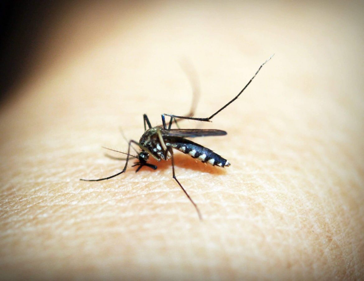 Pertama di Dunia, WHO Rekomendasikan Vaksin Malaria