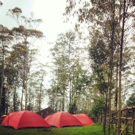 Camping ground Rancaupas / Pinterest