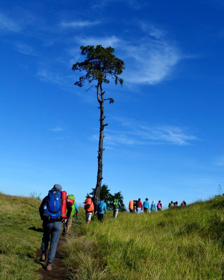 Mendaki Gunung Saat Musim Hujan? Siapa Takut