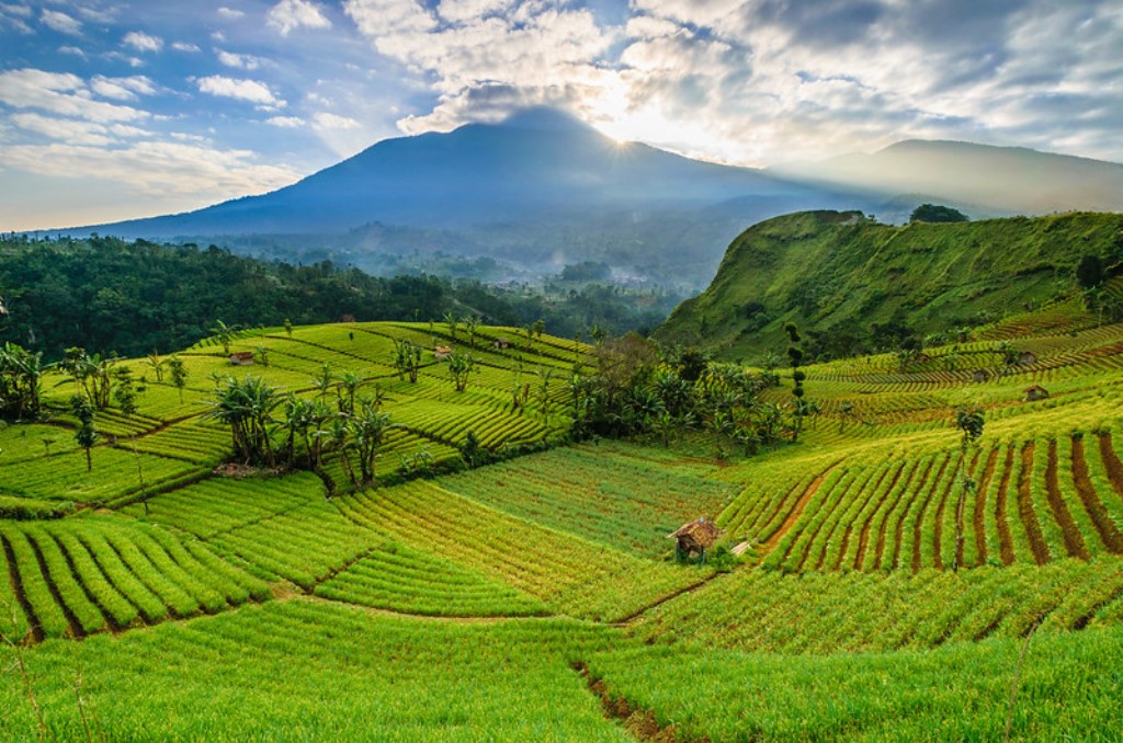 6 Destinasi Wisata Probolinggo Nan Eksotik